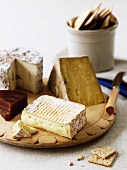 Various types of cheese with crackers