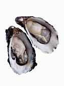Two halved oysters