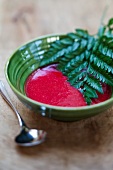 Soup made from red fruit with a fern leaf
