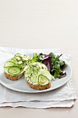 Open face sandwiches with ricotta, cucumber, apple and sprouts