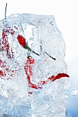 Chilli peppers in a block of ice (close-up)