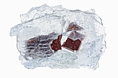 Chocolate in a block of ice