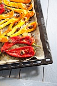 Oven-roasted vegetables (peppers and pumpkin) with sardines