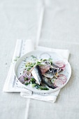 Soused herring on a potato and cucumber salad