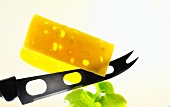 Dutch cheese with a cheese knife