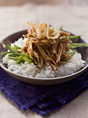 Pulled pork and onions on a bed of rice