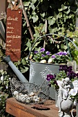 Zinc watering can, elf figurine, basket of quails' eggs and violas on a garden table
