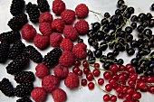Blackberries, raspberries, blackcurrants and redcurrants