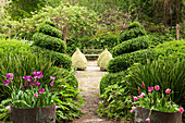 Gepflegte Gartenanlage mit Blumen und formgeschnittenen Büschen