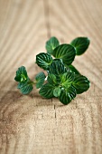 Fresh mint on a wooden surface