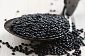 Black lentils on a spoon (close-up)
