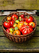 A basket of various tomatoes