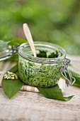 Ramson and stinging nettle pesto with creme fraiche