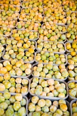 Yellow plums in plastic punnets