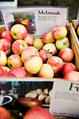A crate of fresh apples at a market