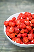 Fresh picked forest strawberries
