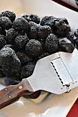 Fresh black summer truffles from Abruzzo with a truffle slicer