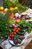 Assorted vegetables, herbs and oranges