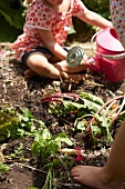 Kleine Kinde bei der Gartenarbeit