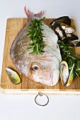 Fresh red snapper and mussels on a chopping board