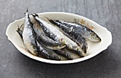 A bowl of fresh sardines