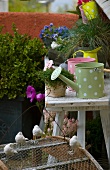 Collection of colourful, metal, balcony watering cans and jugs with white polka dots, plant pots and bird ornaments on chicken-wire cage