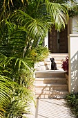 Dog on steps leading to front door in Mediterranean garden