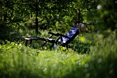 Deckchair amongst the greenery