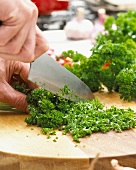 Chopping curly leaf parsley