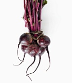 A Bunch of Fresh Beets on a White Background