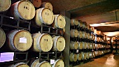 A wine cellar in the Terre da Vino winery, Barolo, Piedmont, Italy