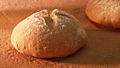 Brot im Holzofen backen (im Zeitraffer)