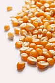 Corn kernels (close-up)