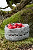 Crab apples in crocheted and felted woollen basket