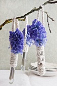 Blue hyacinths in test tubes with crocheted holders