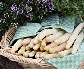 White asparagus in a basket