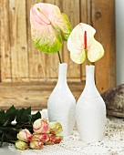 Flamingo flowers in vases