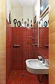 View into bathroom - red mosaic tiles in shower area and plain sink below mirror