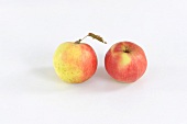Two Sansa apples