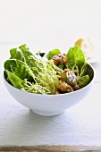 Salat mit Sprossen & Thunfischbällchen
