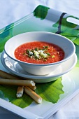Tomato soup with spring onions and coriander