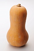 A butternut squash