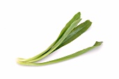 Long parsley