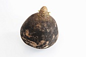 A black radish