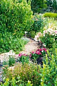 Narrow, winding gravel path between blooming perennials in a summer garden