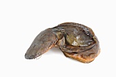 A dried catfish