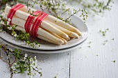 Peeled asparagus tried with a red ribbon on a plate with gypsophila