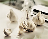 Bulbs and Cloves of Garlic