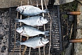 Whole Fish on a Fire Pit Grill