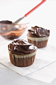 Chocolate cupcakes